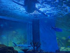 -常州海昌海洋探索馆