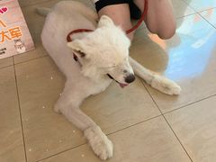 -天虹购物中心(石路店)