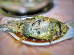 邮亭鲫鱼-邮亭丁鲫鱼(大足总店)