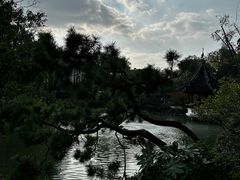 -上海醉白池公园