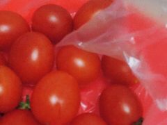 -乐乐鲜果水果超市(河北店)