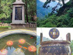 -泰山风景名胜区