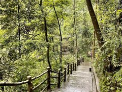 -峨眉山风景名胜区