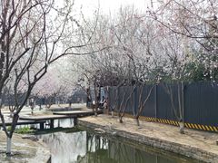 -三里河公园
