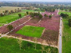 -汉长安城未央宫国家考古遗址公园