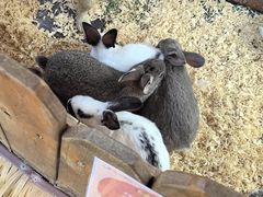 -珠海海泉湾神秘岛亲子乐园