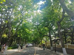 -八大关景区