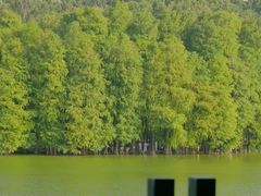 -麓湖高尔夫球俱乐部