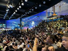 -烟台海昌鲸鲨海洋公园