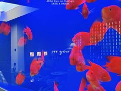 -宫七SPA·高端Massage(浦东大道店)