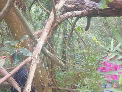 -黄金沟旅游风景区