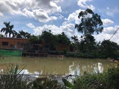 -园林美食城·本土农家菜(杨和镇店)