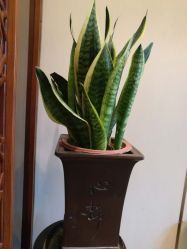 -花家怡园·宴会厅(簋街四合院总店)