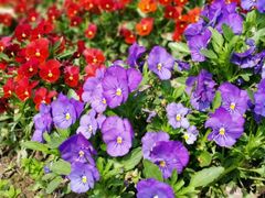 -河畔春天时尚餐厅