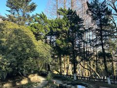 -莫干山风景区