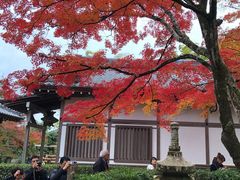 -常寂光寺