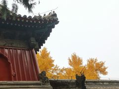 -承恩寺