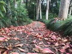 -新洲生态园