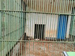 -广东茂名森林公园