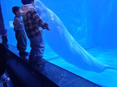 -多彩贵州城极地海洋世界