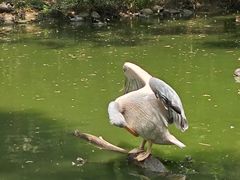 -济南野生动物世界