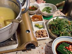 -禄婶鸡煲·打边炉