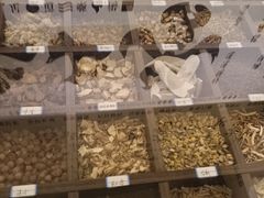-金指足浴·按摩泡澡·SPA(万家丽店)