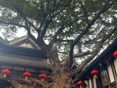 -成都武侯祠博物馆