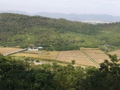 -风云岭森林公园
