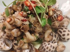 捞汁花螺-肥福排档(星光店)