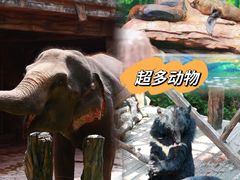 -长鹿旅游休博园