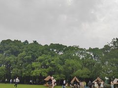 -东湖落雁景区