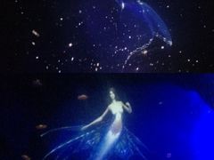 -大连圣亚海洋世界