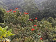 -火炉山森林公园