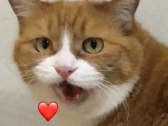 -梓砂锅(崇文路店)