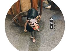 -猫色咖啡·猫咖
