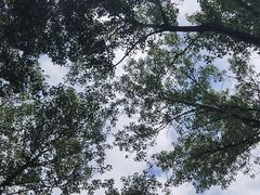 -国家植物园