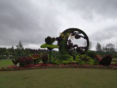 -东平国家森林公园