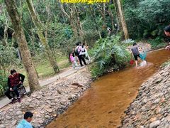 -滴水岩森林公园