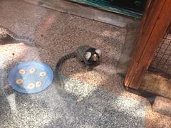 -上海大自然野生昆虫馆(东方明珠·爬宠昆虫探索中心)