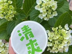 -桂桂茶(赤峰站店)