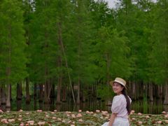 -白鹭湾湿地公园