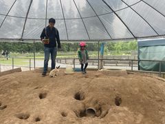 -前小桔亲子创意农场·草莓采摘·露营烧烤