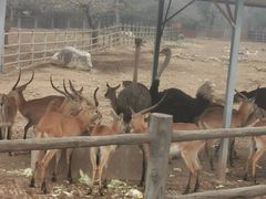 -西安秦岭野生动物园
