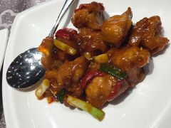 -圆山大饭店-圆苑餐厅