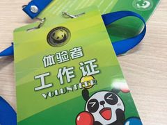 -都江堰中华大熊猫苑