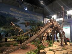 -自贡恐龙博物馆