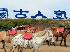 -希拉穆仁草原