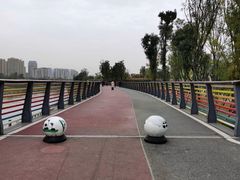-府河摄影公园