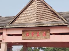 门面-上海都市菜园